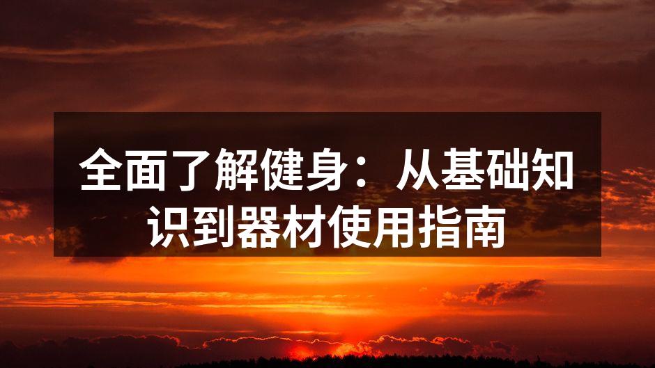 全面了解健身：从基础知识到器材使用指南