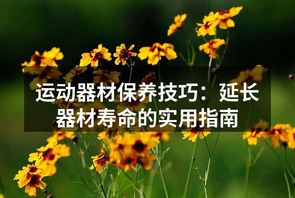 运动器材保养技巧：延长器材寿命的实用指南